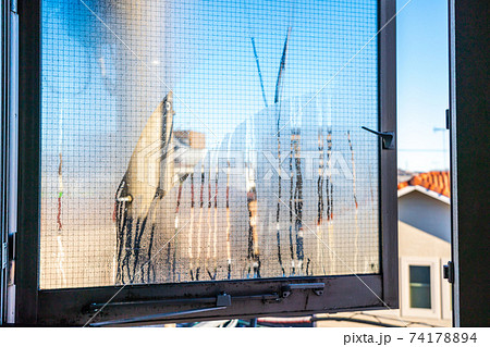 ガラス窓の結露 加湿器を使った翌朝 ガラス窓の結露 加湿器を使った翌朝 74178894