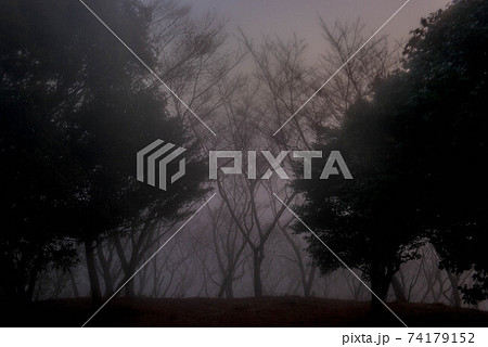 霧の中 74179152