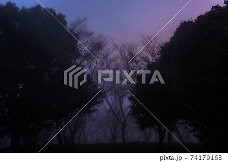 霧の中 74179163