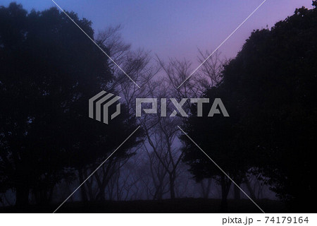 霧の中 霧の中 74179164