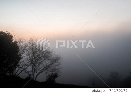霧の中 74179172