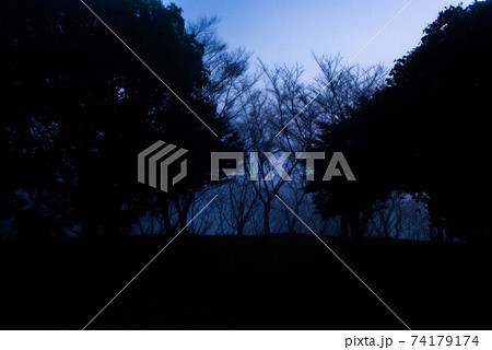 霧の中 霧の中 74179174