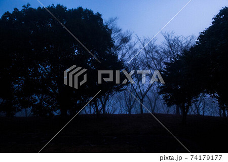 霧の中 霧の中 74179177