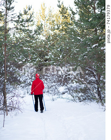 Ordinary woman in red warm sportwear does nordic walking on the snow in the forest in winter outdoor, back view, vertical photo, selective focus. Ordinary woman in red warm sportwear does nordic walking on the snow in the forest in winter outdoor, back view, vertical photo, selective focus. 74179379