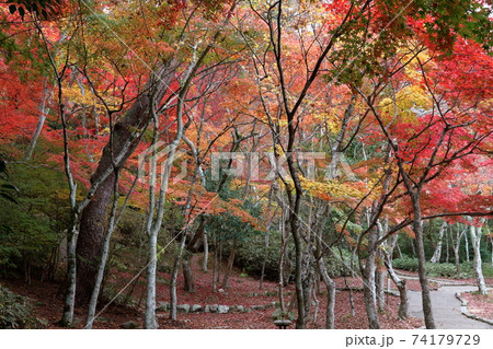 有馬瑞宝寺公園 74179729