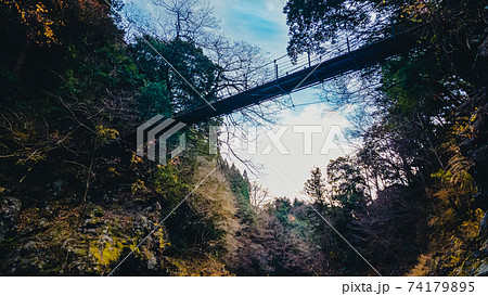 奥多摩 - 氷川渓谷　ドローン空撮 74179895