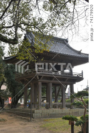 冬の野間大坊 本殿 鐘楼堂 巡拝路 大門 悠紀殿 冬の野間大坊 本殿 鐘楼堂 巡拝路 大門 悠紀殿 74179920
