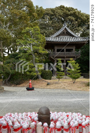 冬の野間大坊　本殿　鐘楼堂　巡拝路　大門　悠紀殿 74179929