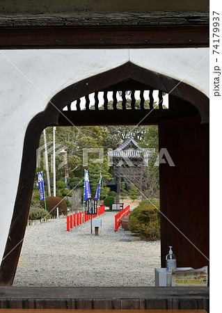 冬の野間大坊 本殿 鐘楼堂 巡拝路 大門 悠紀殿 冬の野間大坊 本殿 鐘楼堂 巡拝路 大門 悠紀殿 74179937