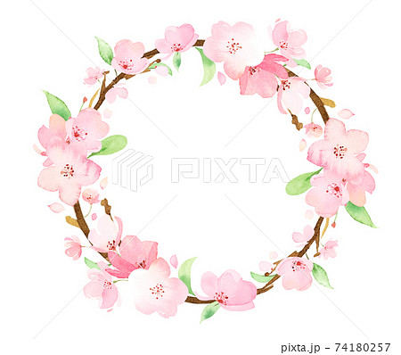 手描き水彩 桜の枝 円フレーム イラストのイラスト素材