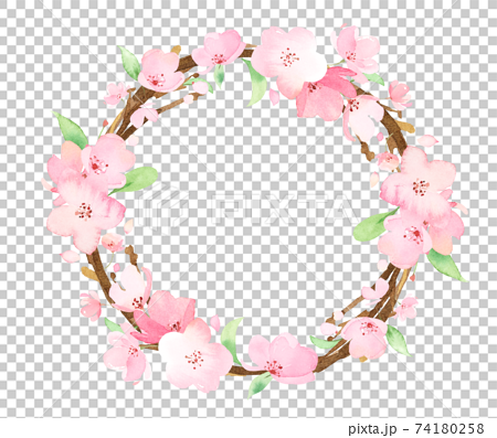 手描き水彩｜桜の枝　二重円フレーム　イラスト 74180258