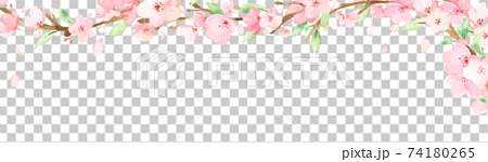 手描き水彩｜桜の枝　装飾　イラスト 74180265