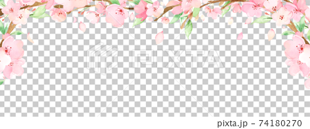 手描き水彩｜桜の枝　装飾　イラスト 74180270
