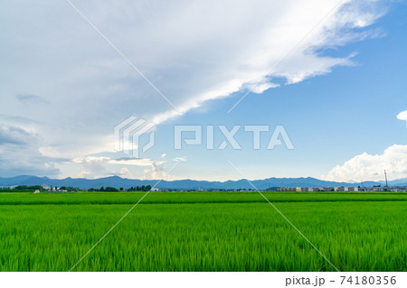 郡山市安積町 田園風景 入道雲 郡山市安積町 田園風景 入道雲 74180356