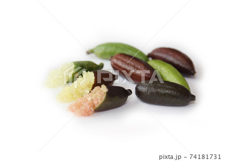 フィンガーライム フィンガーライム 74181731