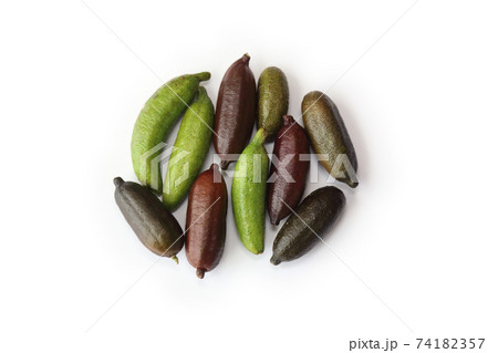 フィンガーライム色々 74182357