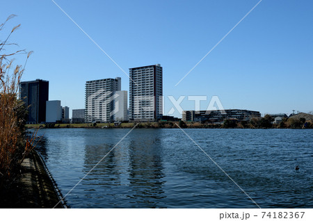 川崎市 多摩川の土手から見る川崎駅近くのタワーマンション群の風景 川崎市 多摩川の土手から見る川崎駅近くのタワーマンション群の風景 74182367