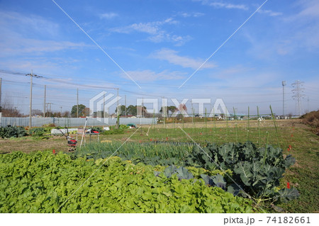 市民農園 74182661