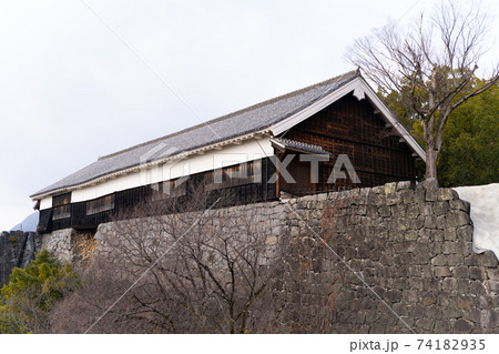【熊本県】　熊本城 74182935