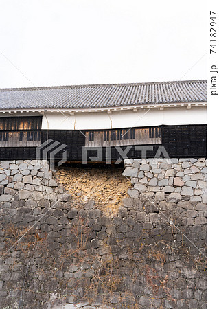 【熊本県】 熊本城 【熊本県】 熊本城 74182947