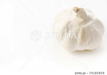ニンニク 74183839