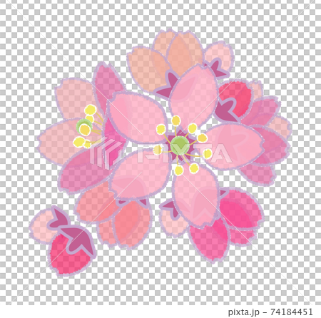 Cherry blossoms (pastel style) Bunch blooming size 74184451