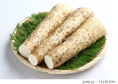 大和芋 大和芋 74185394