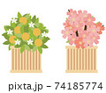 雛祭り　橘　桜　置物 74185774