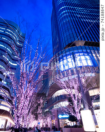 夕暮れの東京ミッドタウン日比谷 74188647