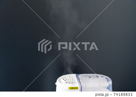 加湿器 加熱式 加湿器 加熱式 74189833