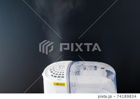 加湿器　加熱式 74189834