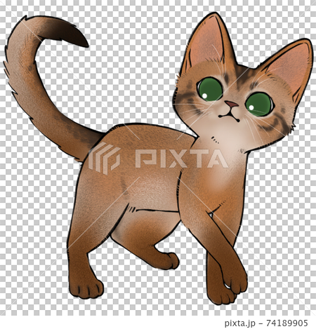 アビシニアンの猫のイラスト アビシニアンの猫のイラスト 74189905