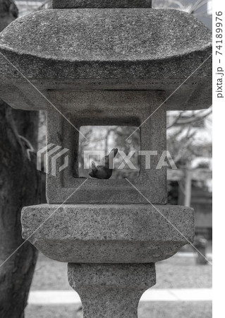 三輪神社 三輪神社 74189976