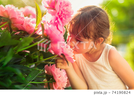 A little girl in the garden sniffs pink flowers. 74190824
