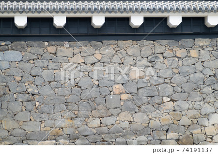 【熊本県】　熊本城 74191137