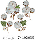Four unique branches of cotton plant painted in watercolor 74192035