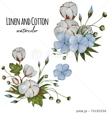 Two compositions with Linen flowers and cotton bolls. Two compositions with Linen flowers and cotton bolls. 74192036