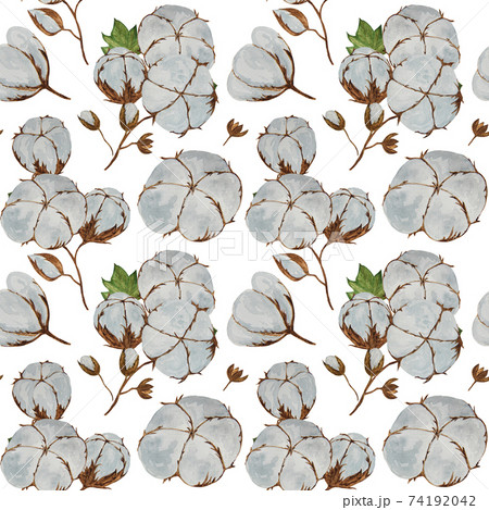 Cotton bolls watercolor seamless pattern. Cotton bolls watercolor seamless pattern. 74192042