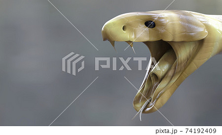 Headshot Of Albino King Cobra Snake Stock Illustration