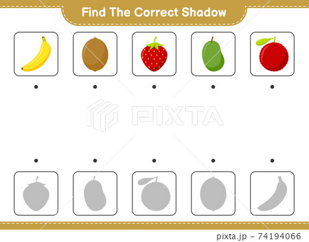 Find the correct shadow. Find and match the correct shadow of Fruits. Educational children game, printable worksheet, vector illustration 74194066