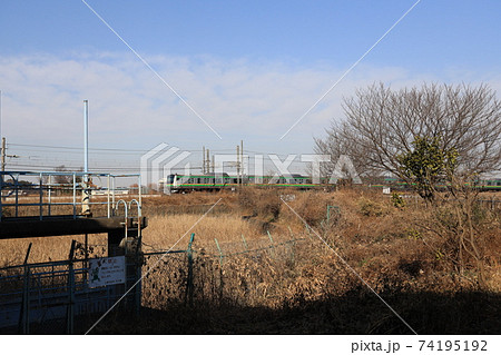 宇都宮線を走る上野東京ラインの電車 宇都宮線を走る上野東京ラインの電車 74195192
