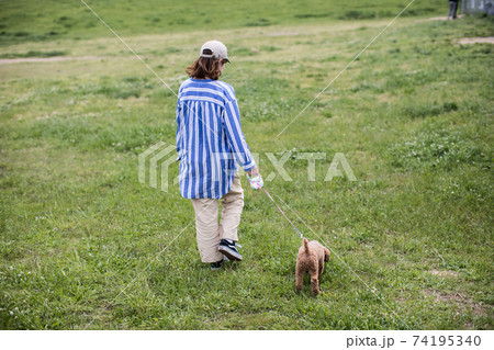 犬と散歩 74195340