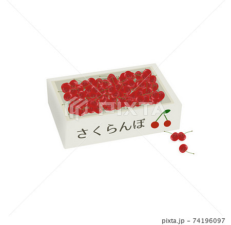 さくらんぼ　山形　佐藤錦 74196097