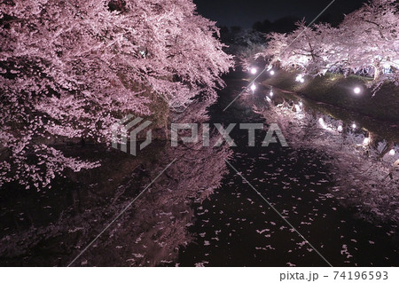 【青森】弘前公園の夜桜とリフレクション 74196593