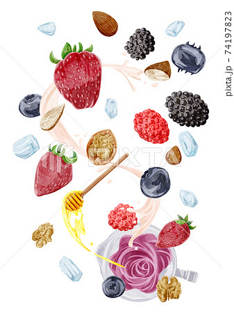 ミックスベリースムージーの材料手描き水彩風イラストのイラスト素材