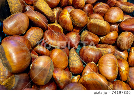Chestnut fruits close-up on the counter of the store. selective focus. Chestnut fruits close-up on the counter of the store. selective focus. 74197836