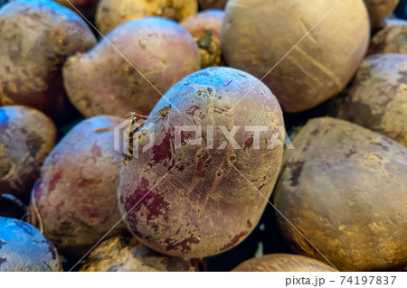 Close up of red beets in the store. Background. selective focus. 74197837