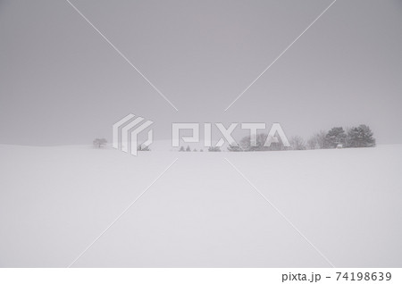 冬美瑛の雪霞影絵のような風景 冬美瑛の雪霞影絵のような風景 74198639