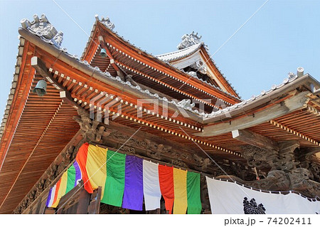 八日堂信濃国分寺・薬師堂（御開帳十二年に一回しか見れない秘仏「本尊秘仏薬師如来様」が拝めます）  74202411