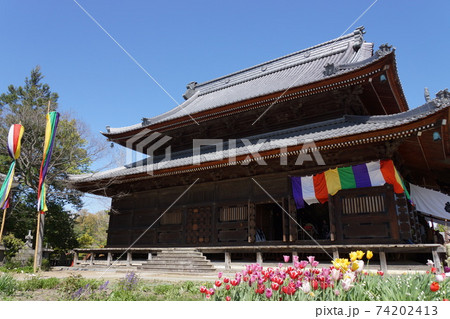 八日堂信濃国分寺・薬師堂(御開帳十二年に一回しか見れない秘仏「本尊秘仏薬師如来様」が拝めます) 八日堂信濃国分寺・薬師堂(御開帳十二年に一回しか見れない秘仏「本尊秘仏薬師如来様」が拝めます) 74202413